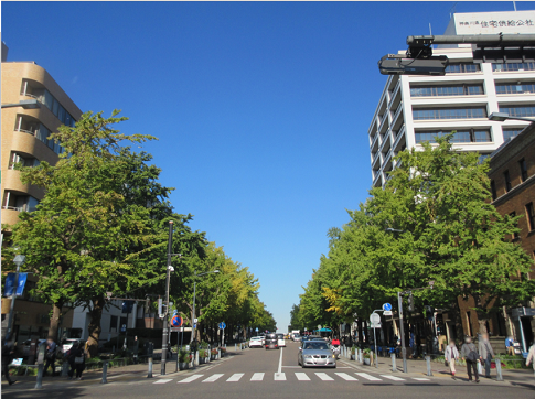 【写真】【サイズ調整】【モザイク加工】日本大通り.png