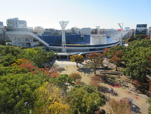 【写真】【サイズ調整】ハマスタ全貌.png