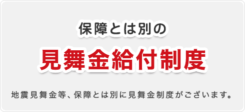 保障とは別の見舞金給付制度